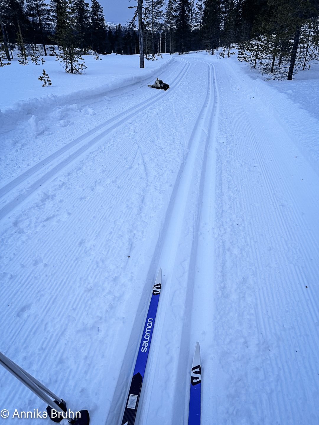 Unser erster Langlauf Q hat Spaß
